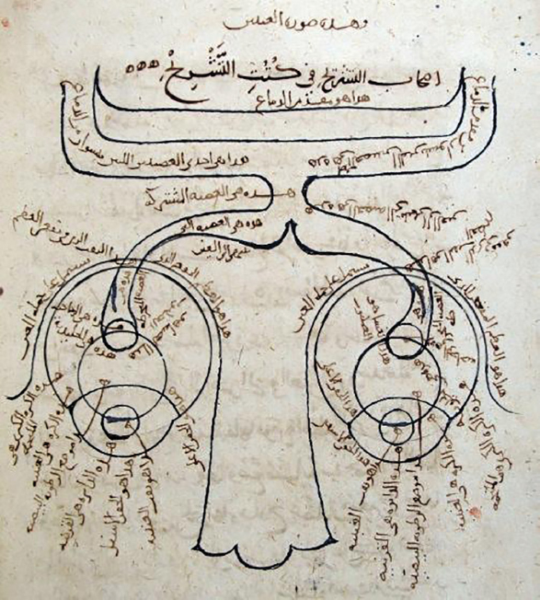 "The structure of the human eye according to Ibn al-Haytham"